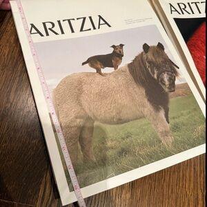 Aritzia horse and dog for buyer